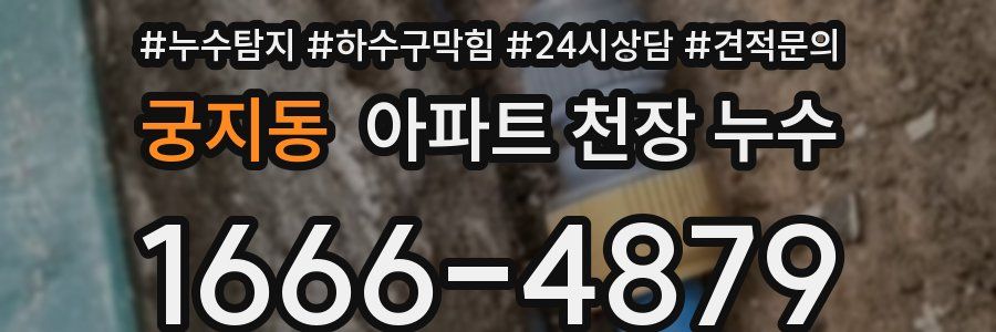 궁지동 아파트 천장 누수