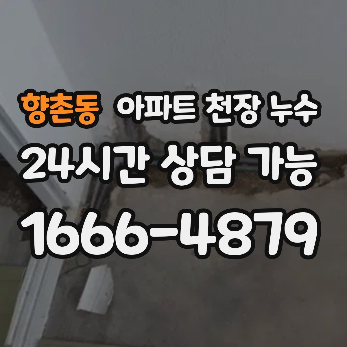 향촌동 아파트 천장 누수