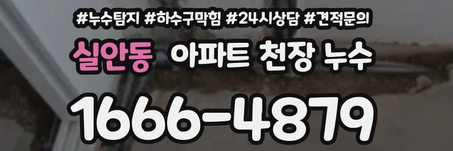 실안동 아파트 천장 누수