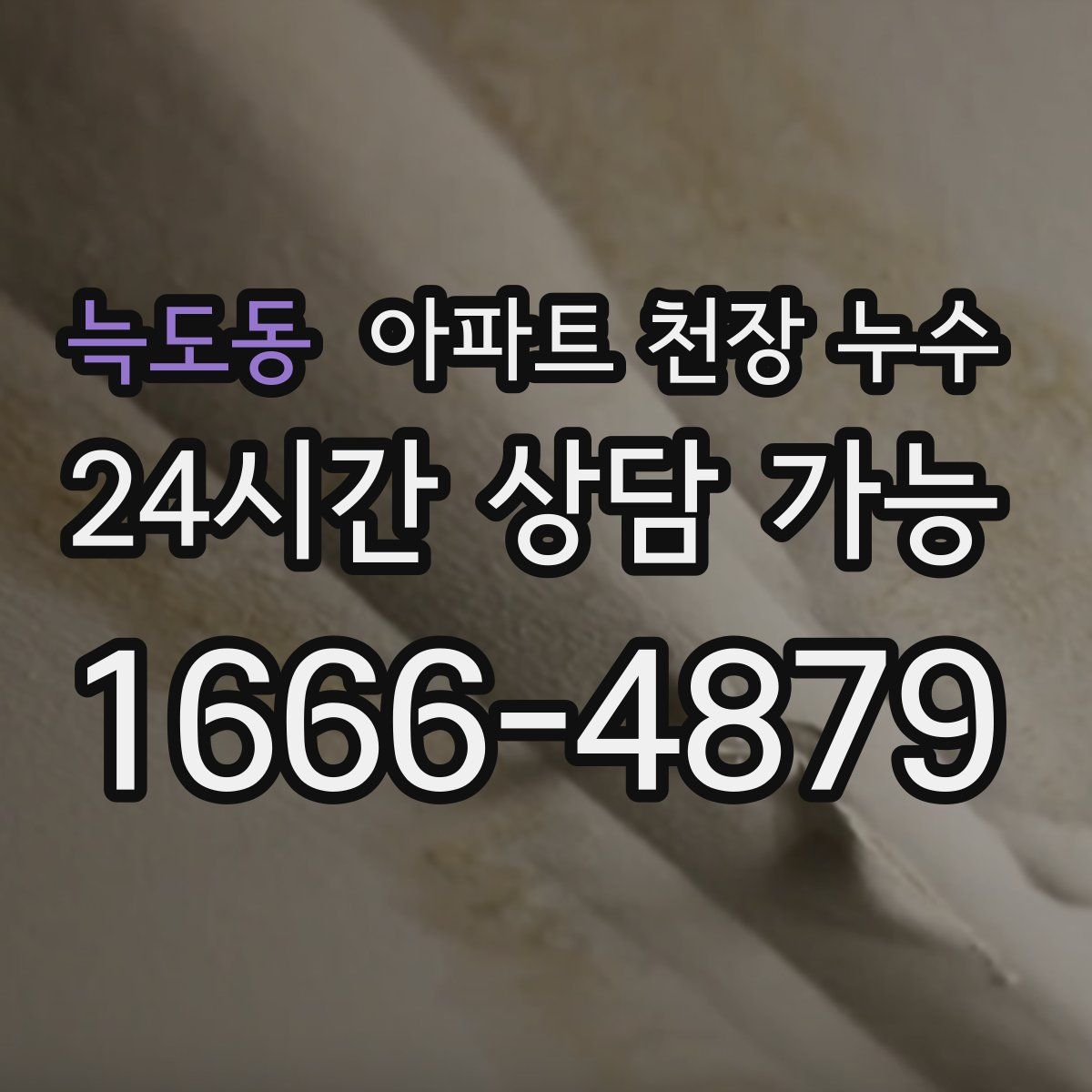 늑도동 아파트 천장 누수