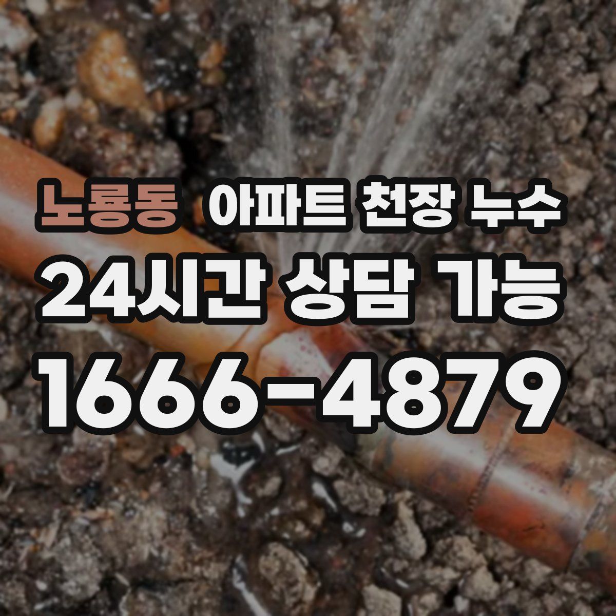 노룡동 아파트 천장 누수