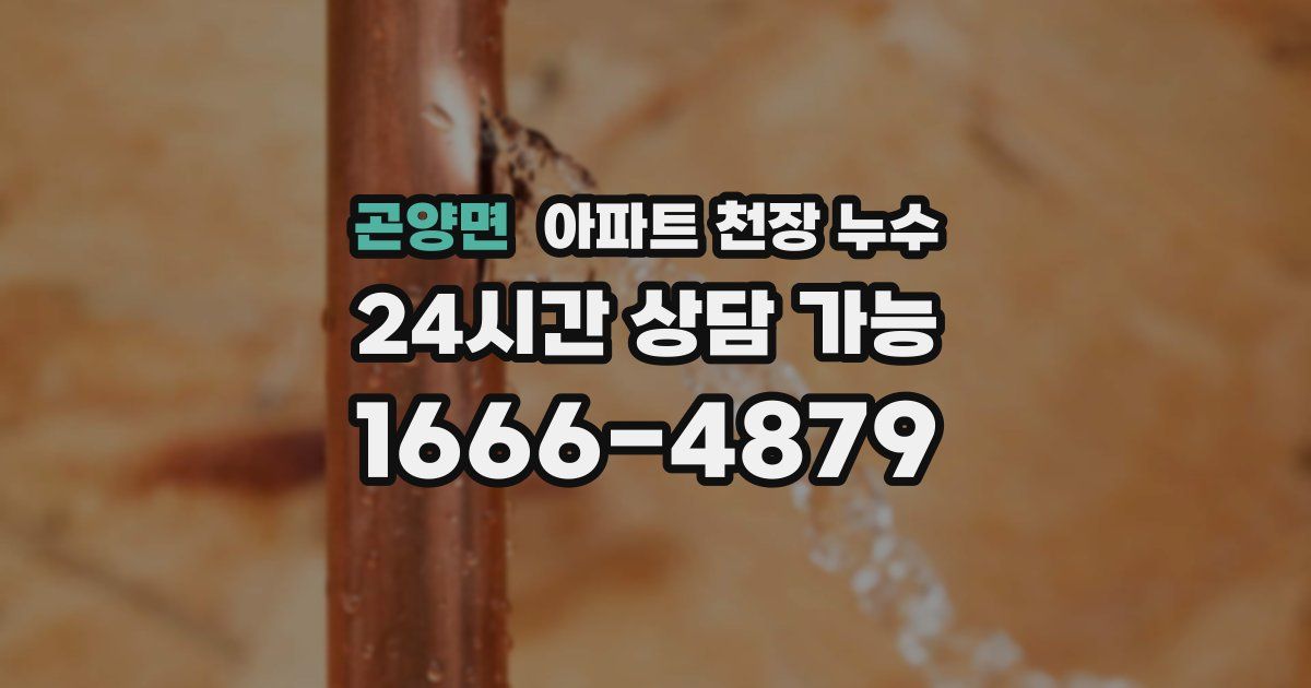 곤양면 아파트 천장 누수