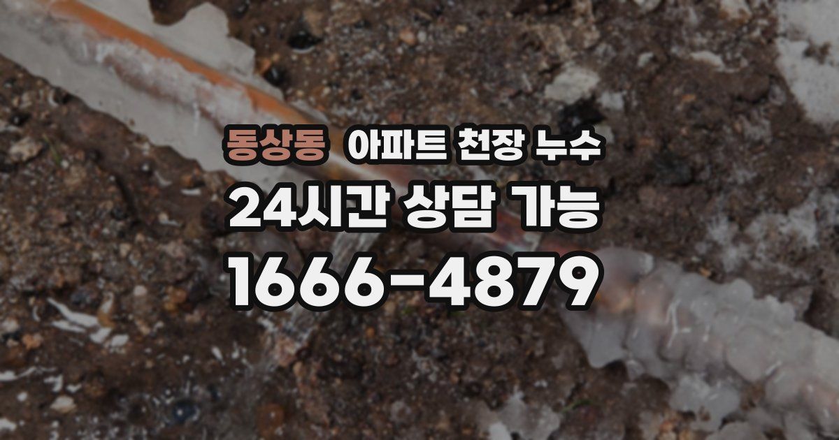 동상동 아파트 천장 누수
