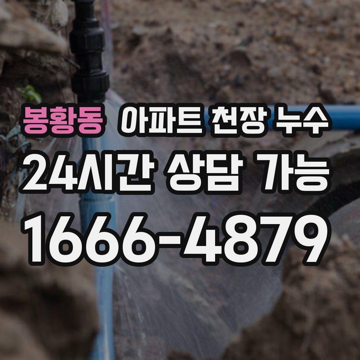 봉황동 아파트 천장 누수
