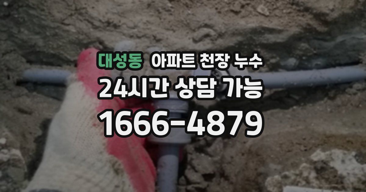 대성동 아파트 천장 누수
