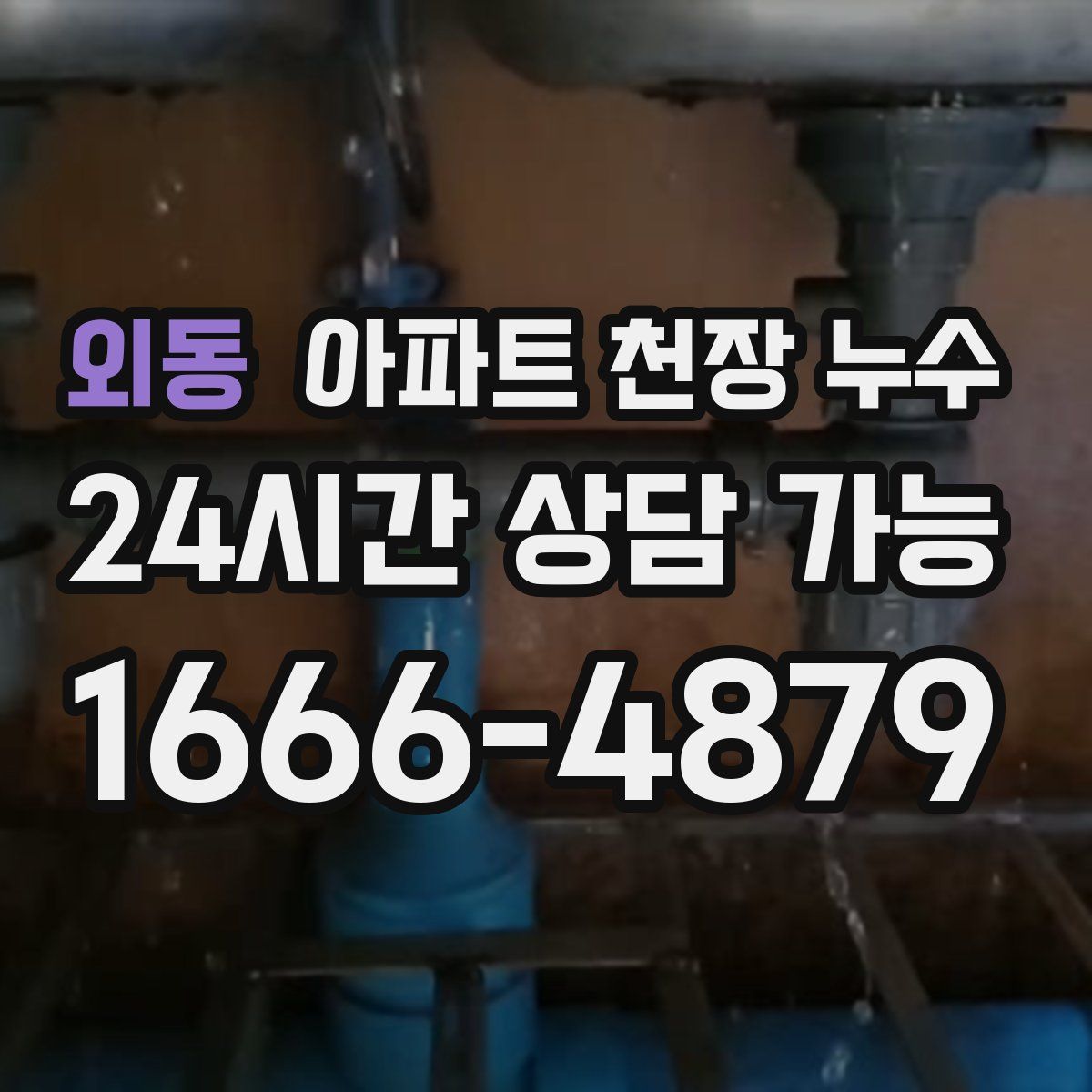 외동 아파트 천장 누수