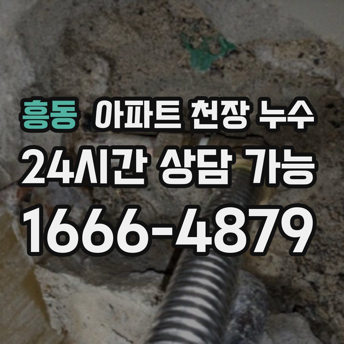 흥동 아파트 천장 누수