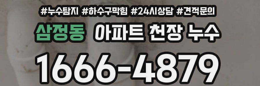 삼정동 아파트 천장 누수