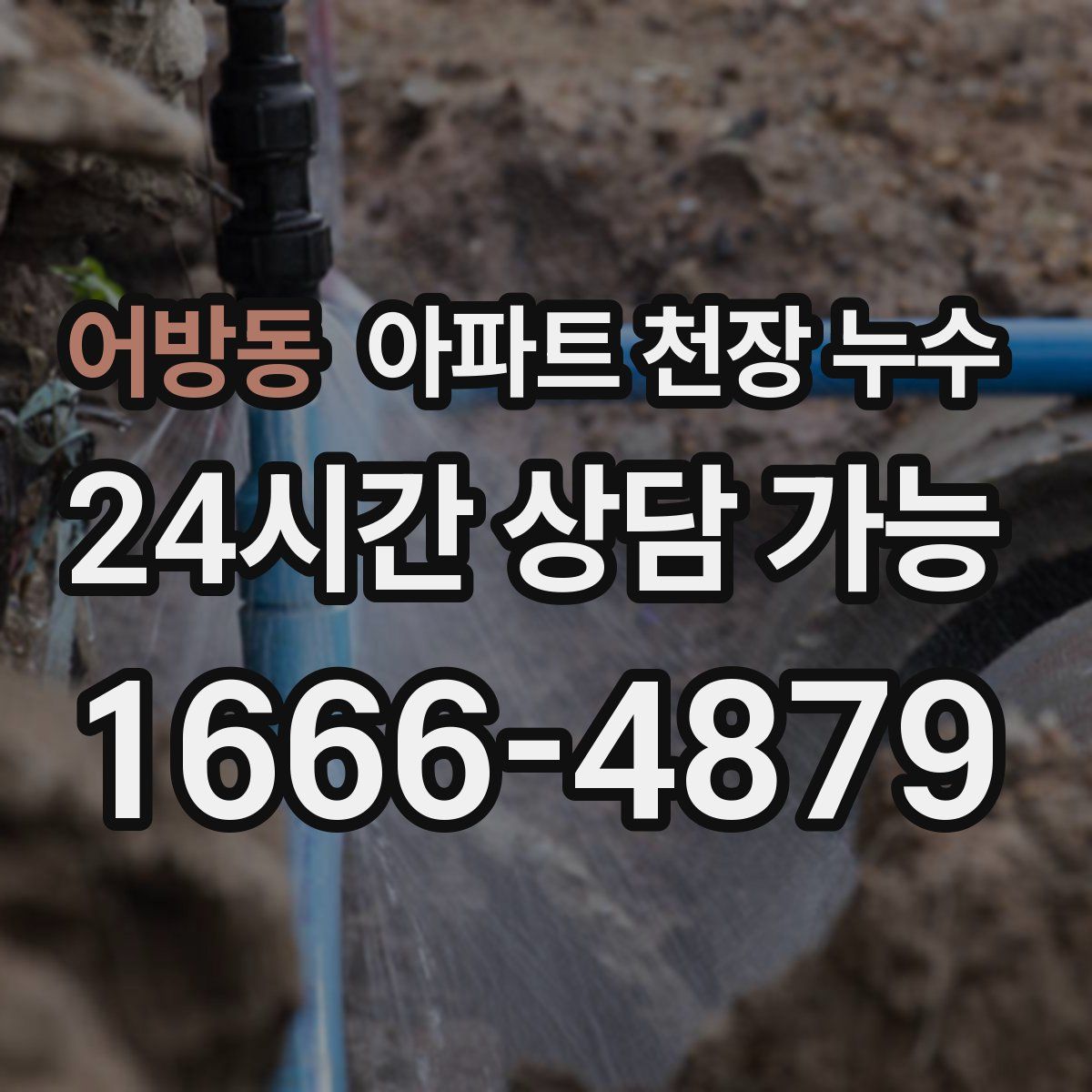 어방동 아파트 천장 누수