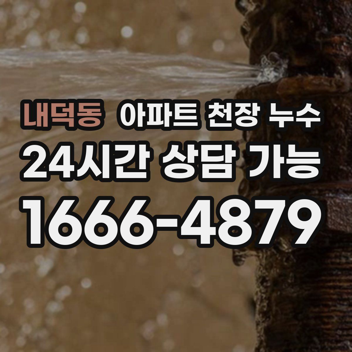 내덕동 아파트 천장 누수