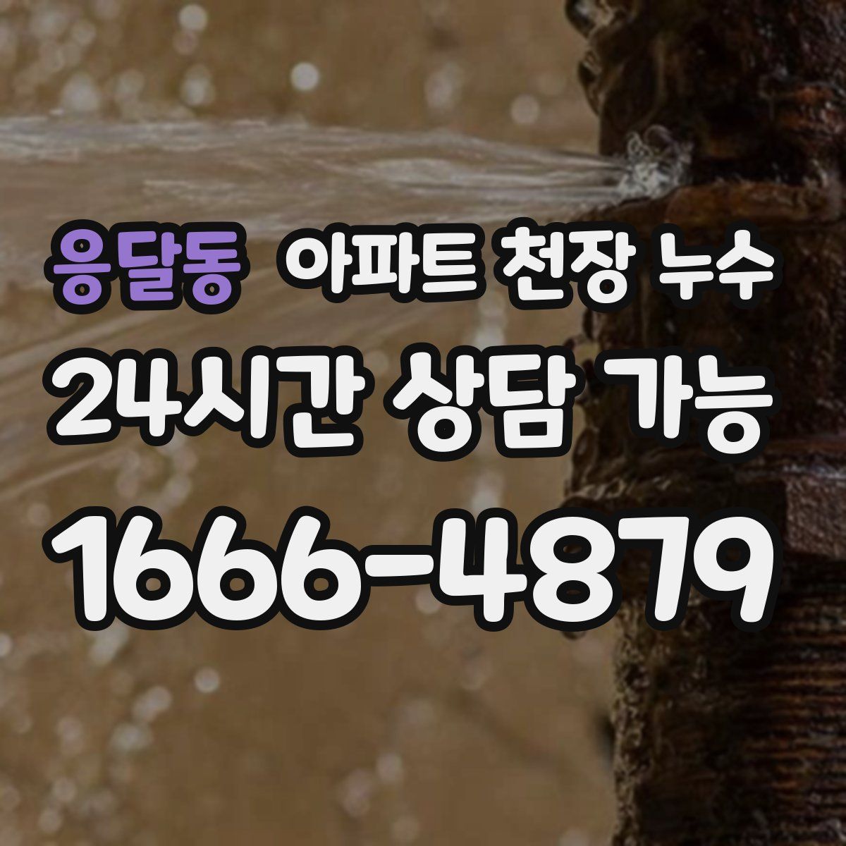 응달동 아파트 천장 누수