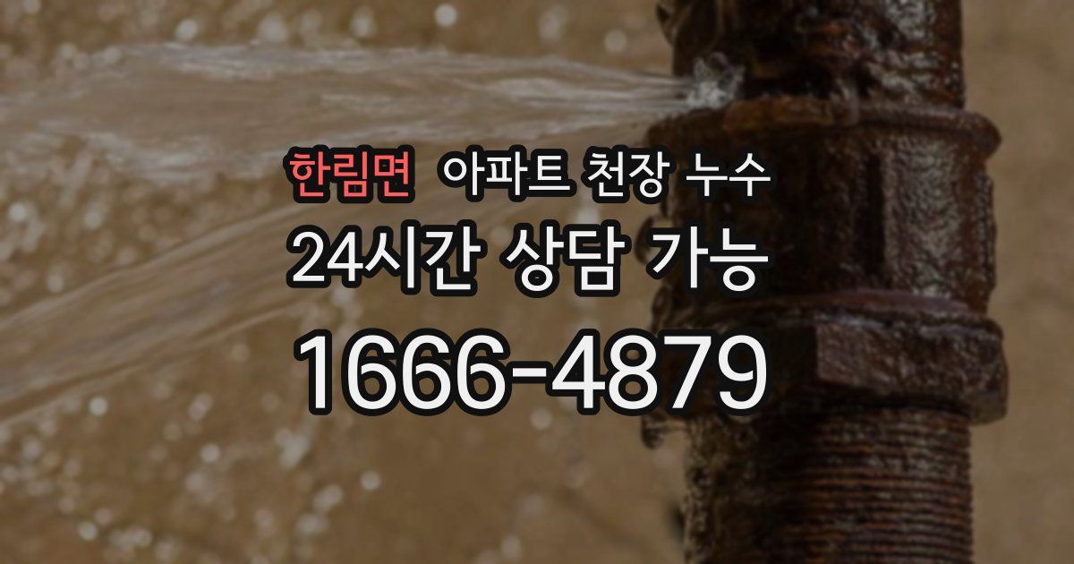 한림면 아파트 천장 누수