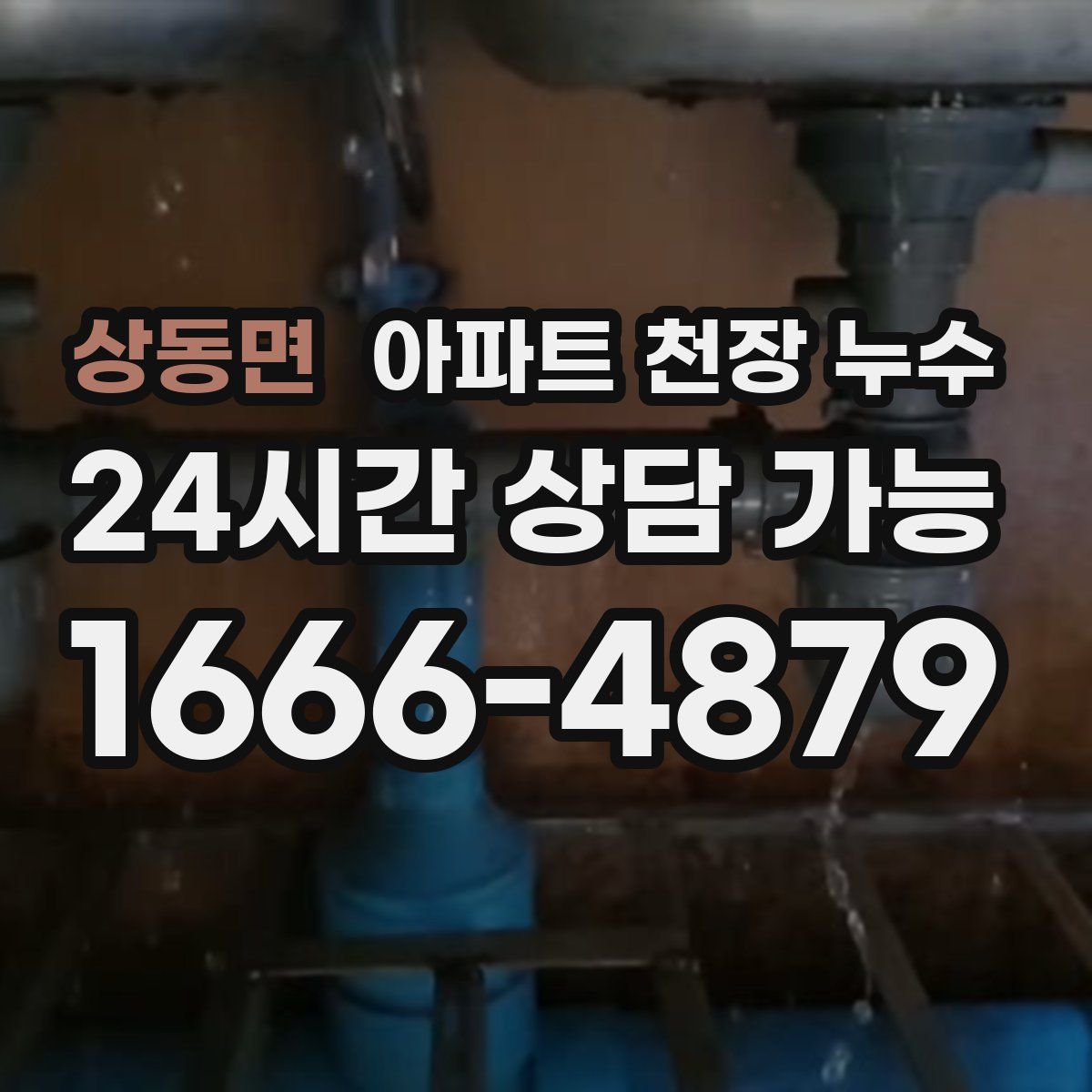 상동면 아파트 천장 누수