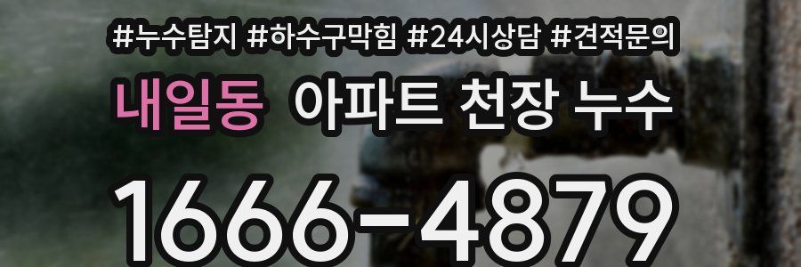 내일동 아파트 천장 누수
