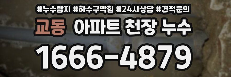 교동 아파트 천장 누수