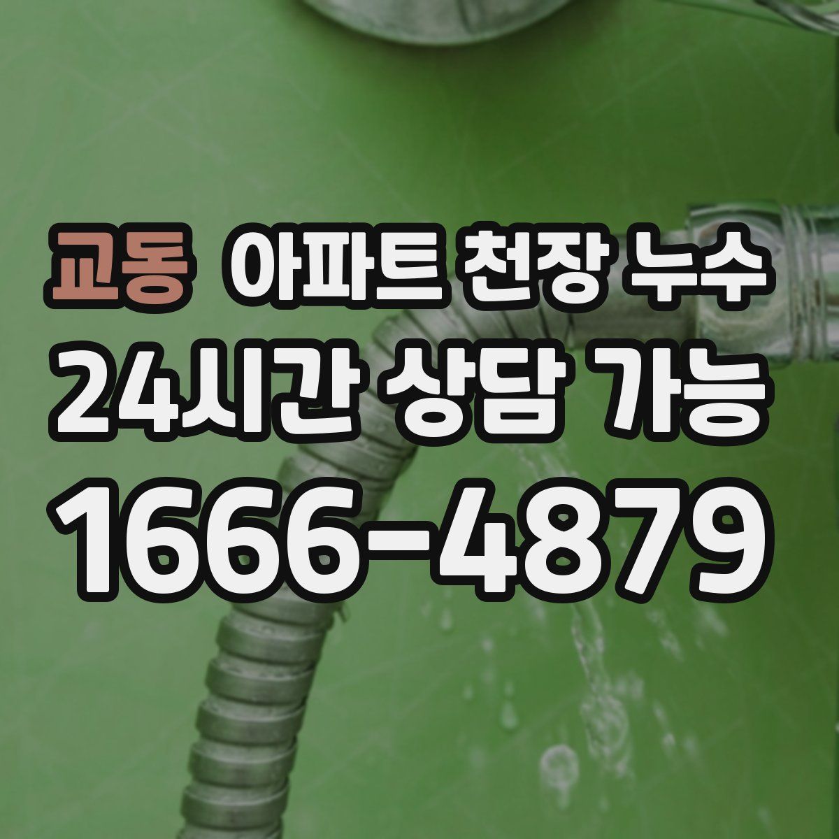 교동 아파트 천장 누수