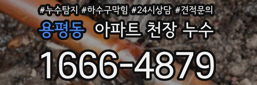 용평동 아파트 천장 누수