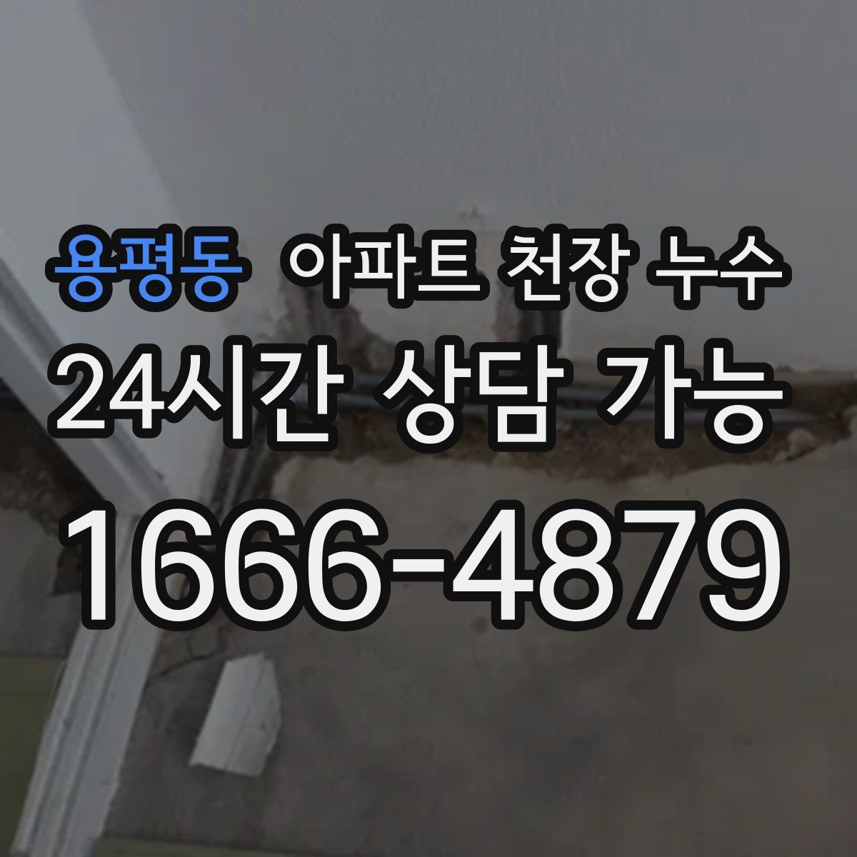 용평동 아파트 천장 누수