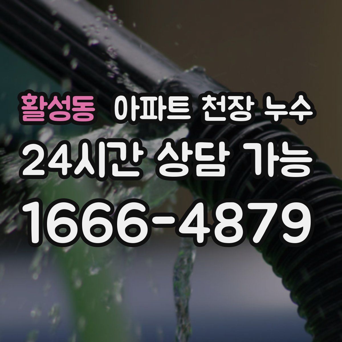 활성동 아파트 천장 누수