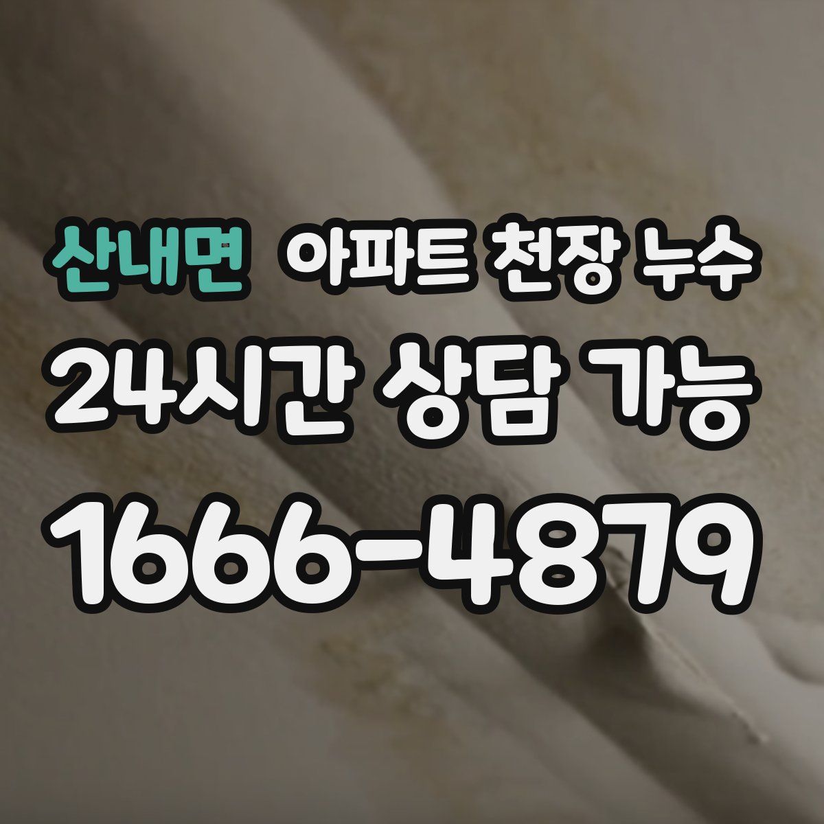 산내면 아파트 천장 누수
