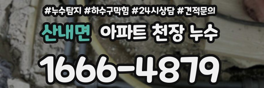 산내면 아파트 천장 누수