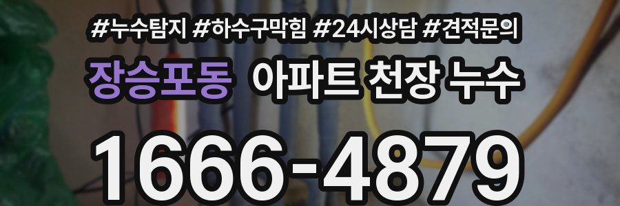 장승포동 아파트 천장 누수