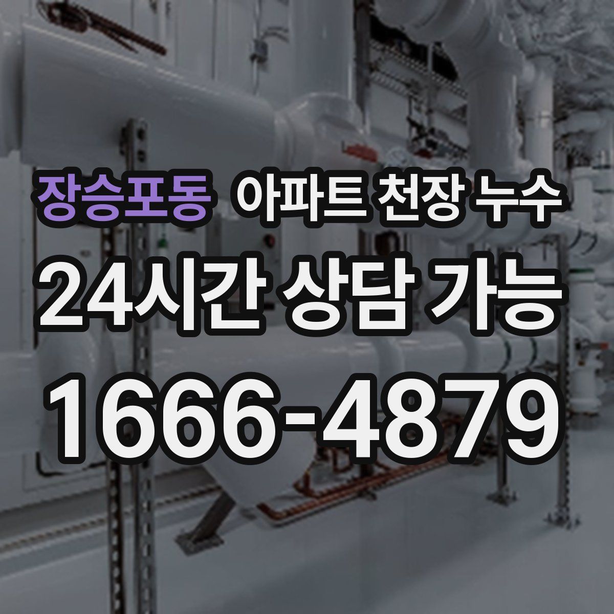 장승포동 아파트 천장 누수