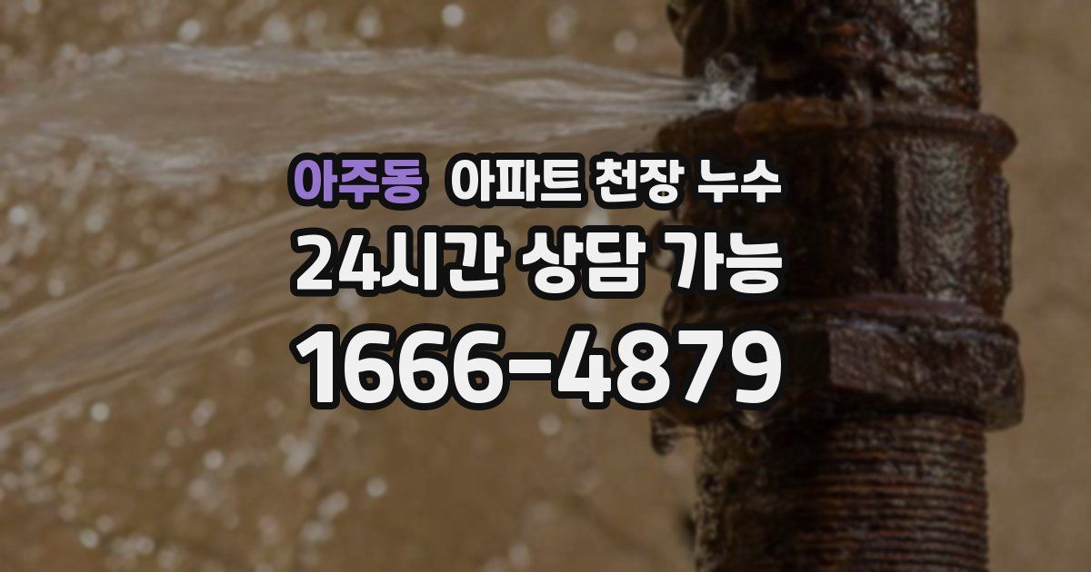 아주동 아파트 천장 누수