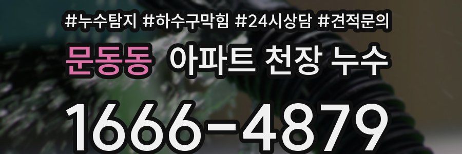 문동동 아파트 천장 누수