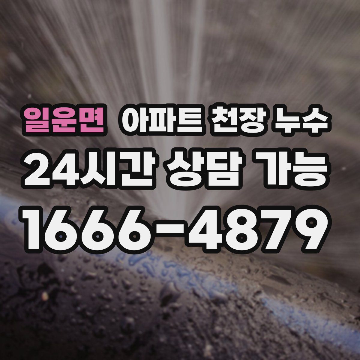 일운면 아파트 천장 누수