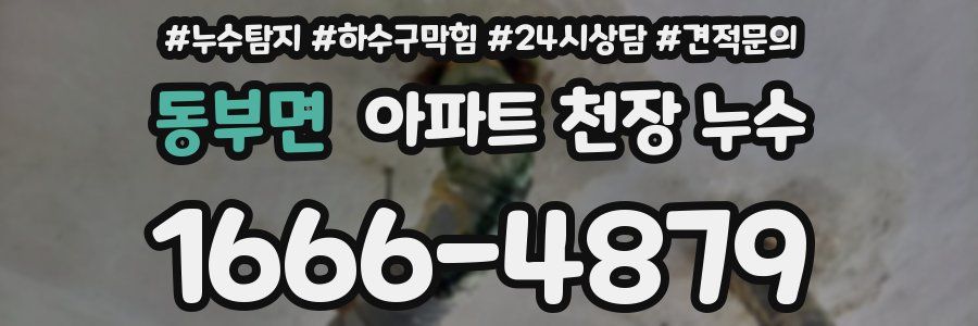 동부면 아파트 천장 누수