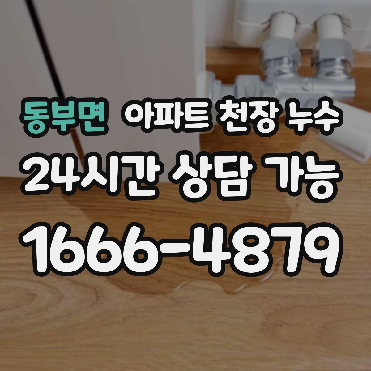 동부면 아파트 천장 누수