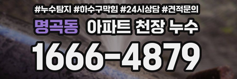 명곡동 아파트 천장 누수