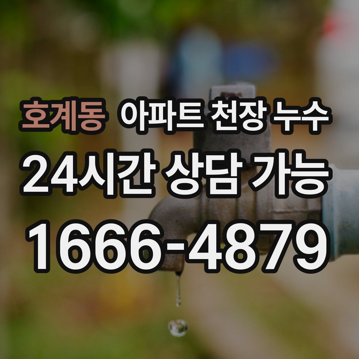호계동 아파트 천장 누수