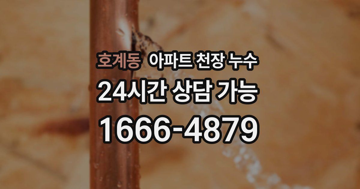 호계동 아파트 천장 누수