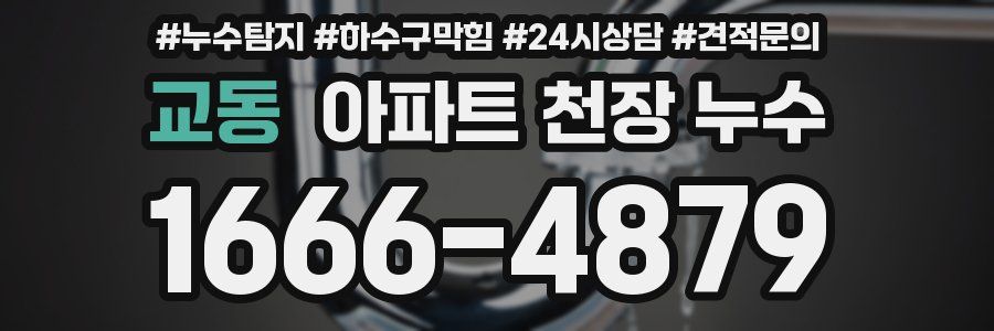 교동 아파트 천장 누수