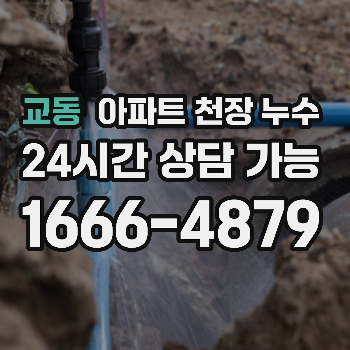 교동 아파트 천장 누수