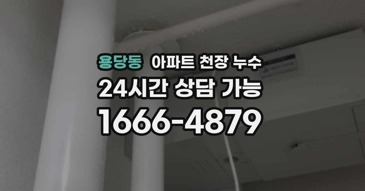 용당동 아파트 천장 누수