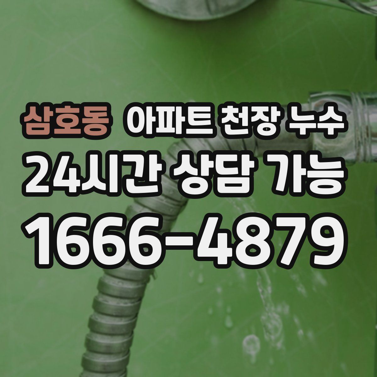 삼호동 아파트 천장 누수