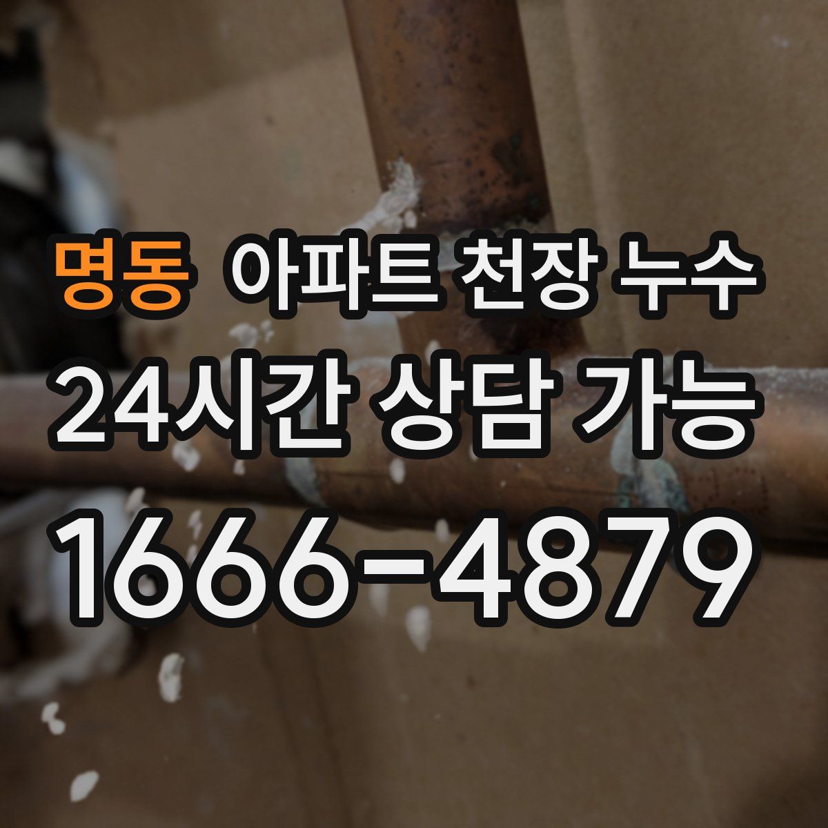 명동 아파트 천장 누수