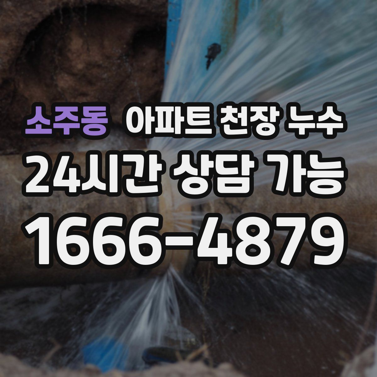 소주동 아파트 천장 누수