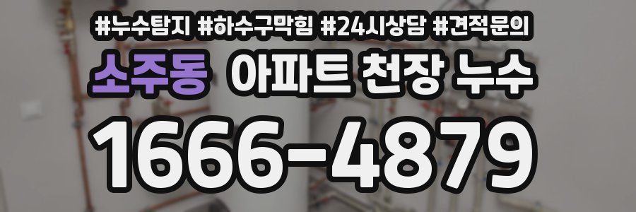 소주동 아파트 천장 누수