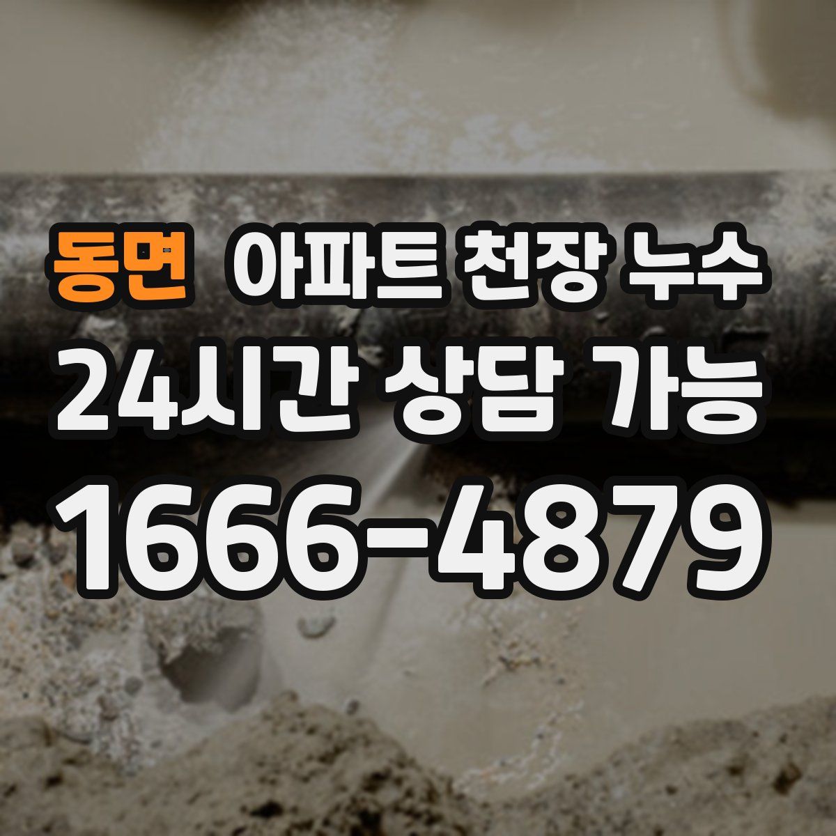 동면 아파트 천장 누수