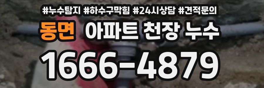 동면 아파트 천장 누수