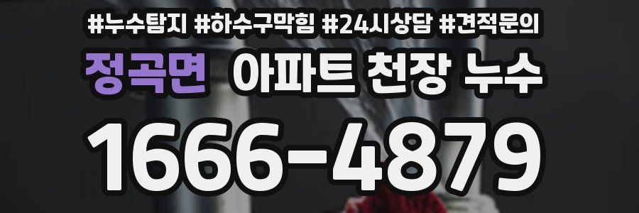 정곡면 아파트 천장 누수