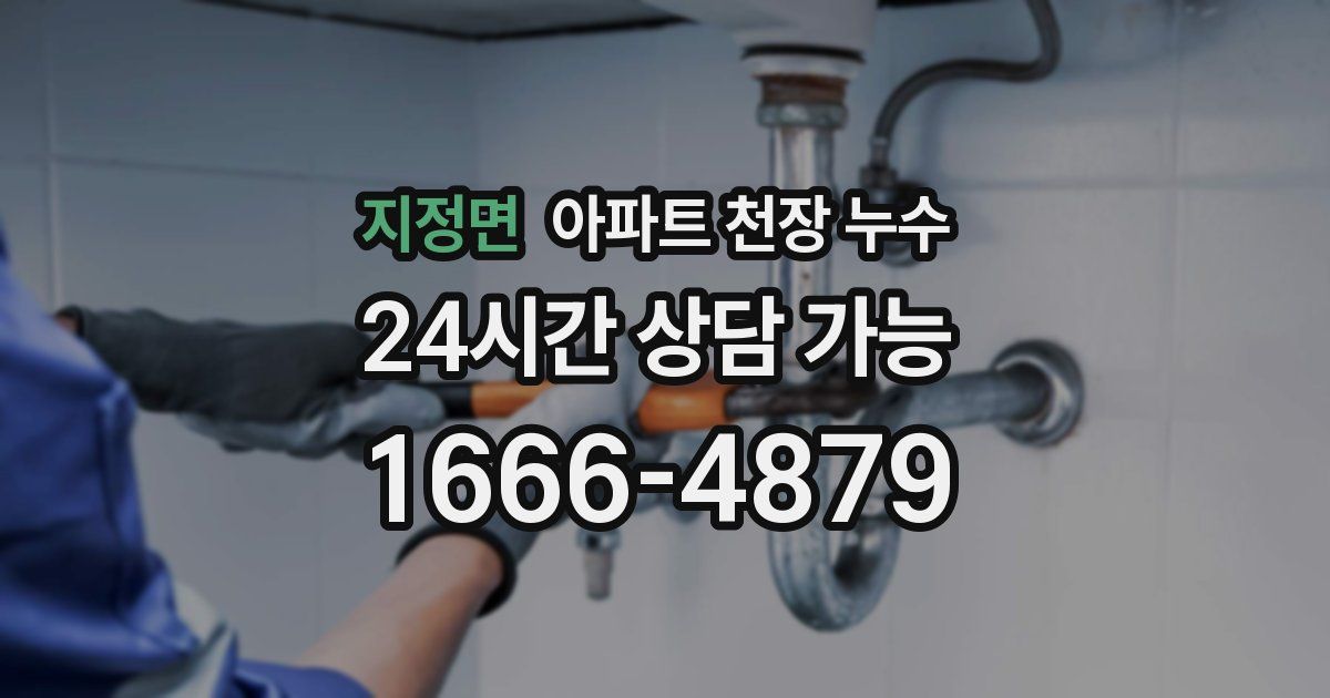 지정면 아파트 천장 누수