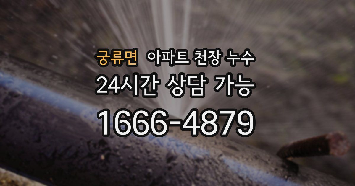 궁류면 아파트 천장 누수