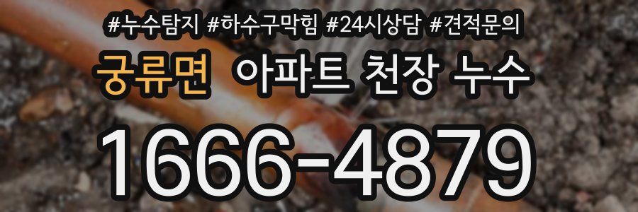 궁류면 아파트 천장 누수