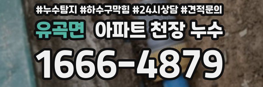 유곡면 아파트 천장 누수