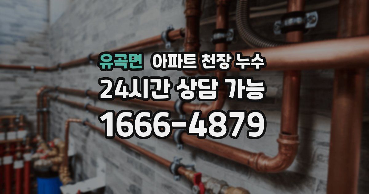 유곡면 아파트 천장 누수